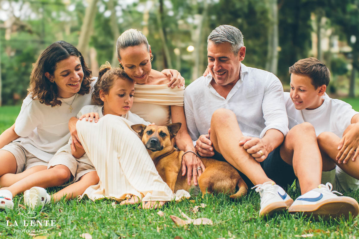 Corgi cross German Shepard portrait photo on grass with people